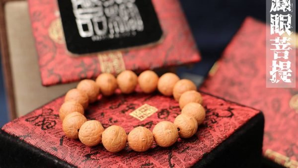 TIBUKKYO台灣德榕藏品｜尼泊爾正統鳳眼菩提14mm圓珠｜手珠型