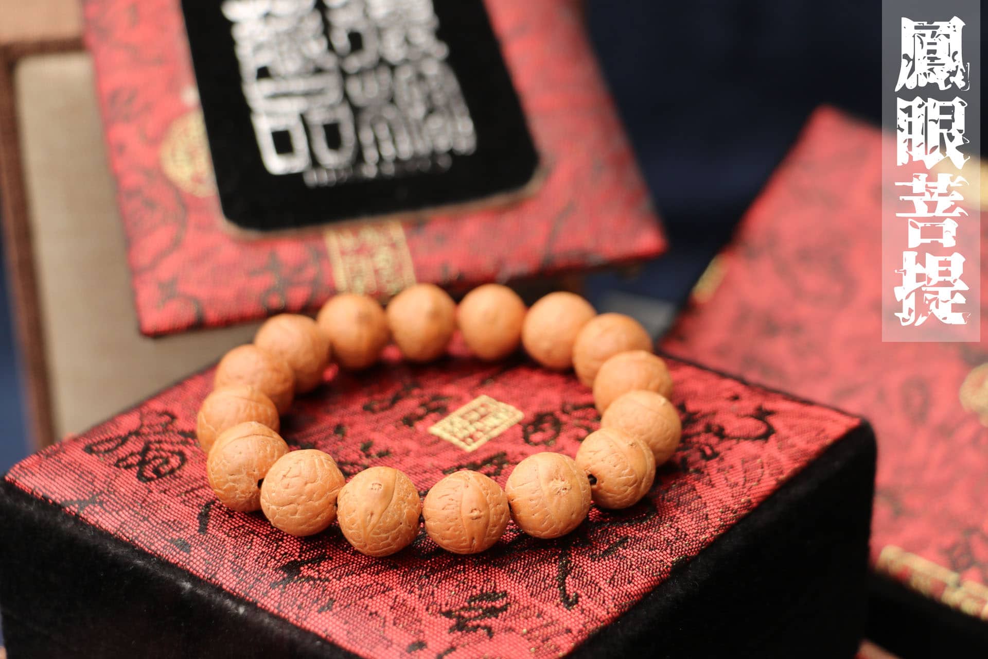 TIBUKKYO Taiwan Derong Collection｜Nepal Orthodox Hyacinth Bodhi 14mm Round Bead｜Hand Bead Type