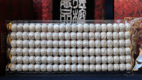 台湾大龍コレクション｜3A+ 星月菩提樹 108本 7x9mm