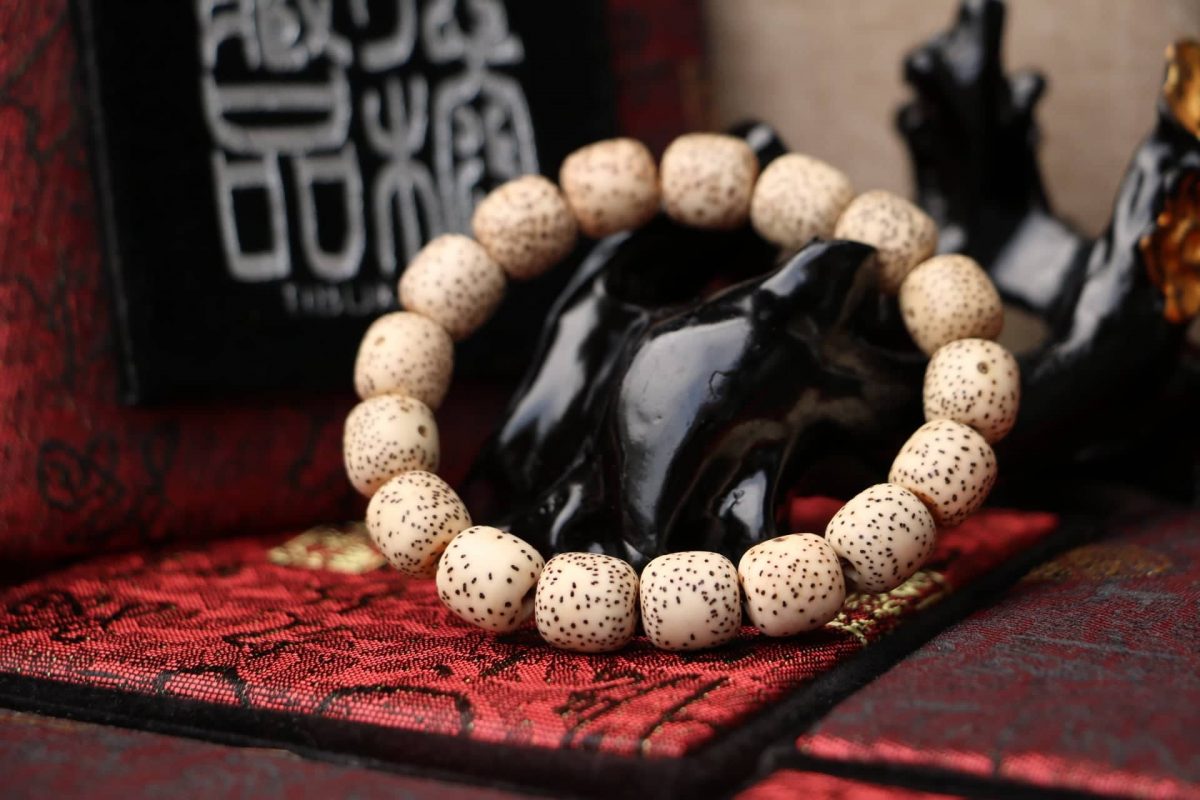 Taiwan Derong Collection｜Excellent Xingyue Bodhi Hand Beads 10x10mm Tibetan Barrel Beads