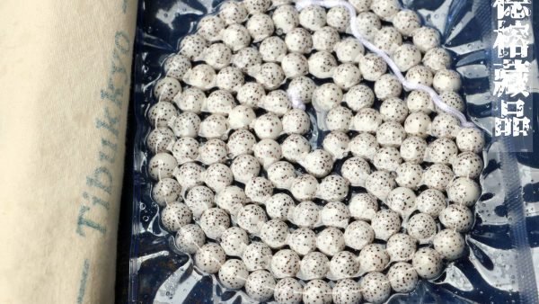 台湾大龍コレクション｜3A+ 星月菩提樹種子 8mm丸玉 108粒