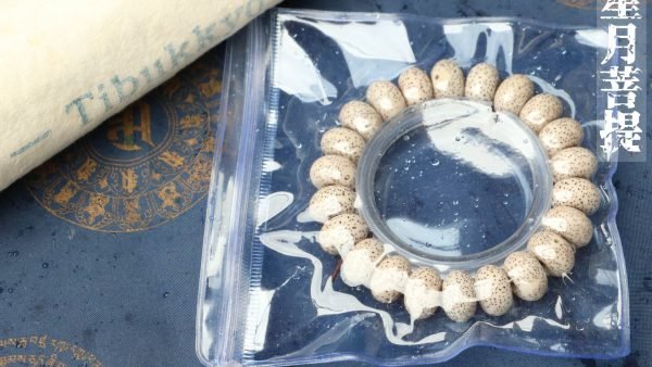 台灣德榕藏品｜3A+星月菩提手珠12x8mm蘋果圓珠｜玄月星月菩提子