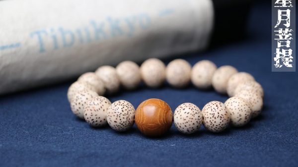 台灣德榕藏品｜3A+精品星月菩提手珠圓珠10mm｜精工老料滿花六道木