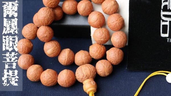 台灣德榕藏品｜尼泊爾正統鳳眼菩提手珠14mm｜白玉菩提根隔珠