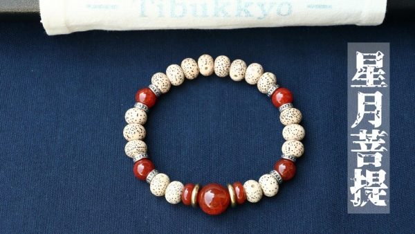 台灣德榕藏品｜新籽星月菩提手珠8x6mm蘋果圓珠｜紅玉髓隔珠