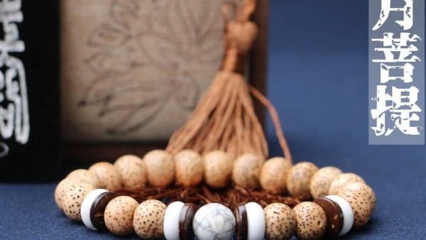 台灣德榕藏品｜一年陳籽星月菩提手珠10x8mm蘋果圓｜白松石隔珠