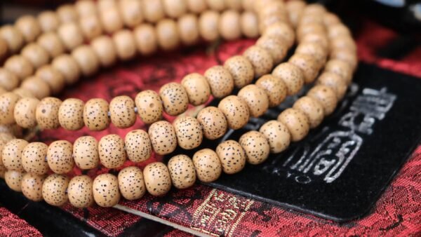 台灣德榕藏品｜3A+星月菩提7x9mm桶珠108顆｜2年陳籽